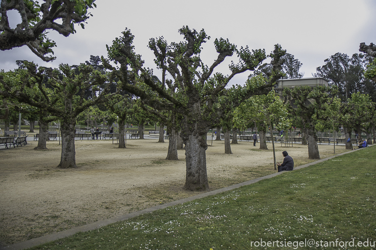 California Academy of Science 2019